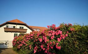 Goldener Hahn Apartments